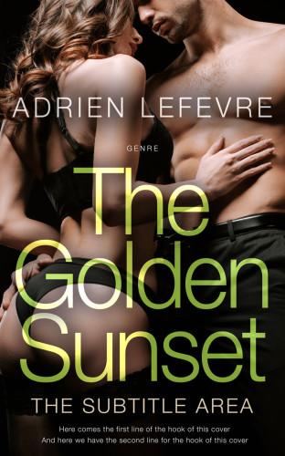 3D mockup of Rodeo Dust #29406 - Premade Erotica Book Cover