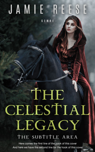 3D mockup of Woodsmoke #29733 - Premade Historical Book Cover