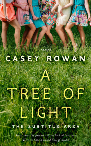 3D mockup of Dell #31902 - Premade Teen & Young Adult Book Cover