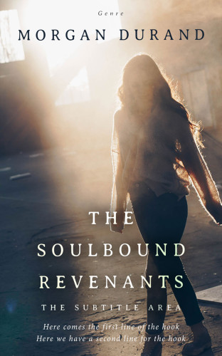 3D mockup of Cape Cod #32026 - Premade Literary Fiction Book Cover