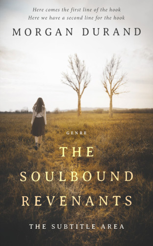 3D mockup of Judge Gray #32043 - Premade Literary Fiction Book Cover