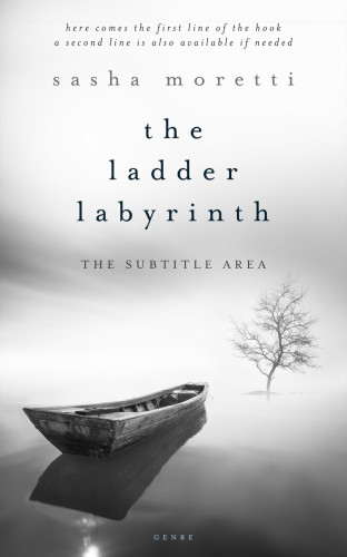 3D mockup of Cape Cod #32275 - Premade Literary Fiction Book Cover