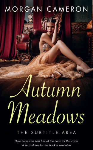 3D mockup of Teak #33123 - Premade Chick Lit Book Cover