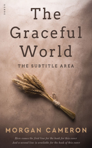 3D mockup of Sandrift #33238 - Premade Cookbooks & Food & Wine Book Cover