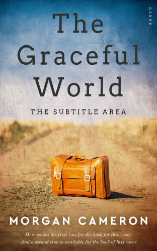 3D mockup of Gray Nickel #33240 - Premade Travel Book Cover