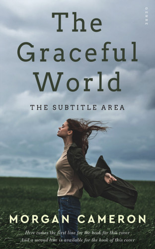 3D mockup of Gull Gray #33241 - Premade Teen & Young Adult Book Cover