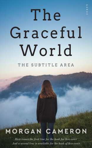 3D mockup of Ship Cove #33243 - Premade Teen & Young Adult Book Cover