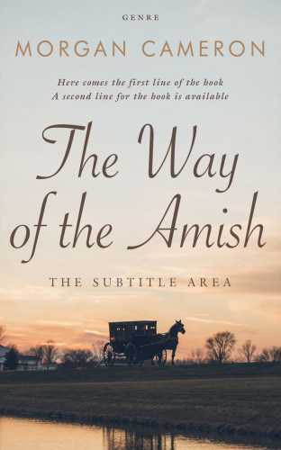 3D mockup of Wafer #33275 - Premade Travel Book Cover