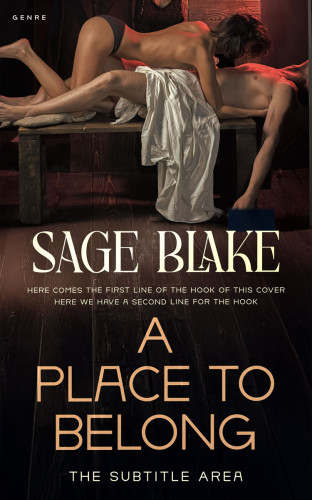 3D mockup of Gondola #34171 - Premade Erotica Book Cover