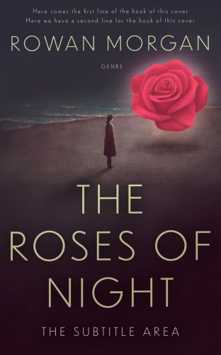 3D mockup of Thunder #34378 - Premade Literary Fiction Book Cover | BookCoverZone