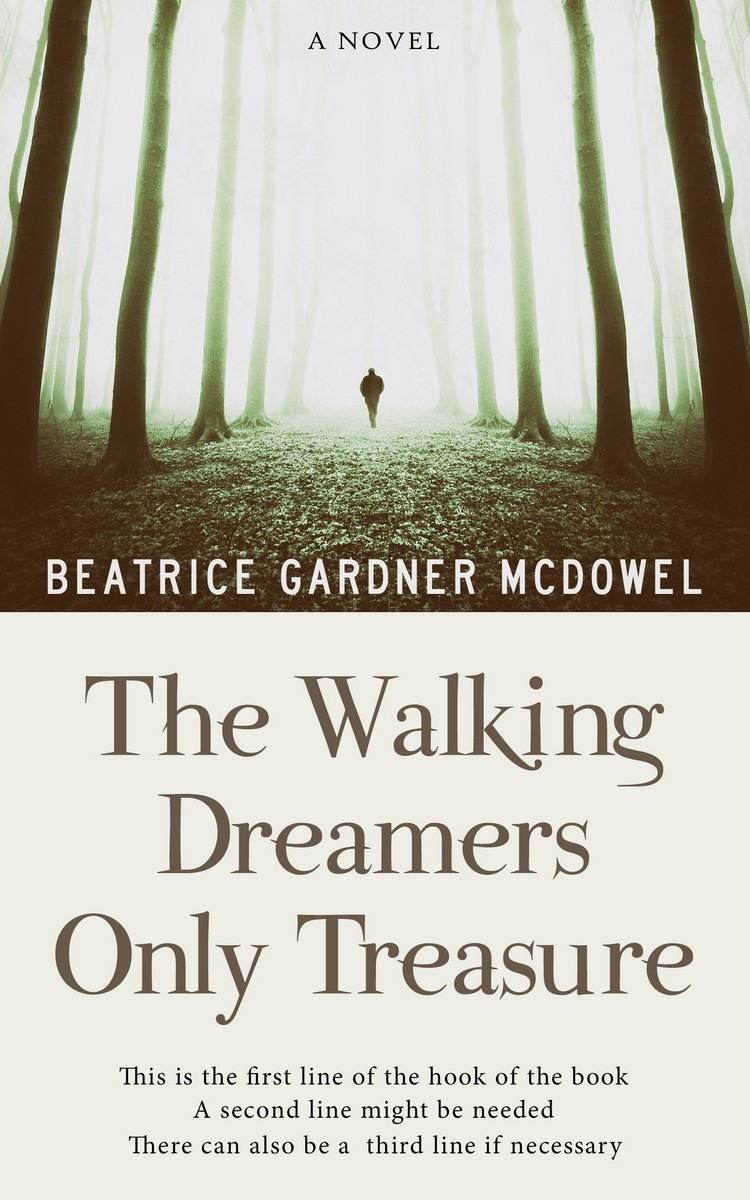 2D view of Lisbon Brown #20 - Premade Travel Book Cover