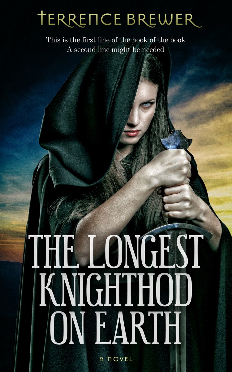 2D view of Bison Hide #30 - Premade Fantasy Book Cover