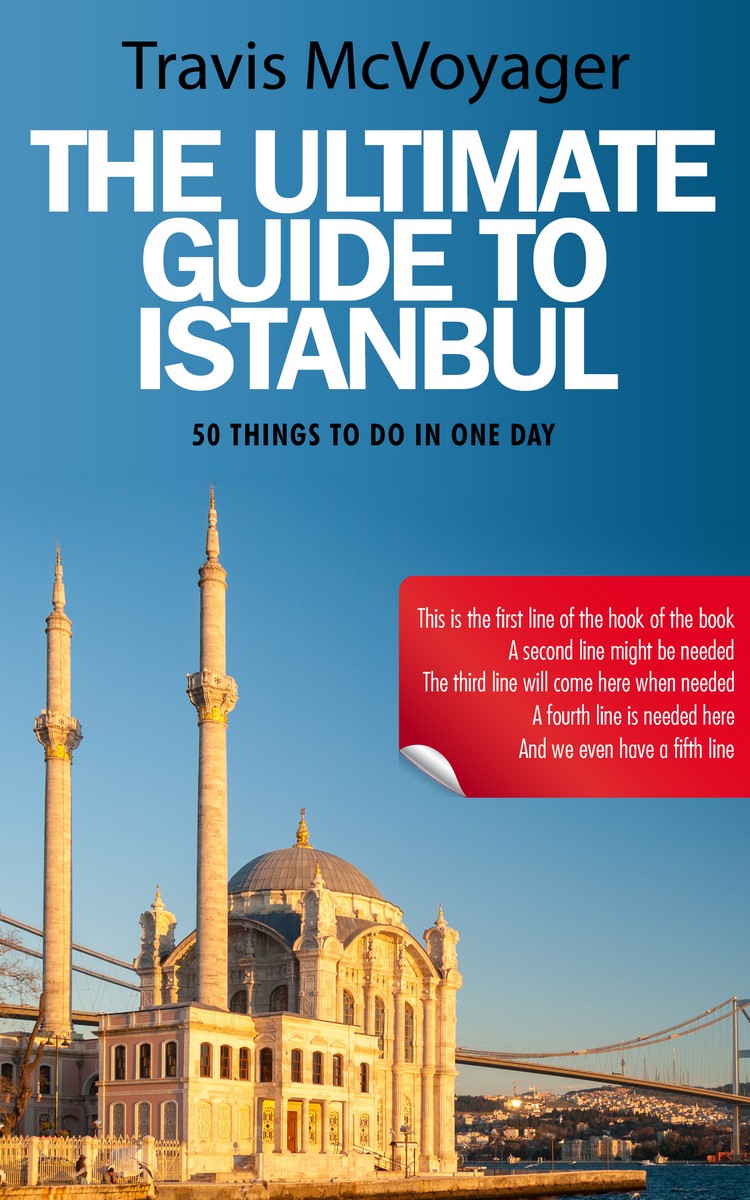 2D view of Steel Blue #93 - Premade Travel Book Cover