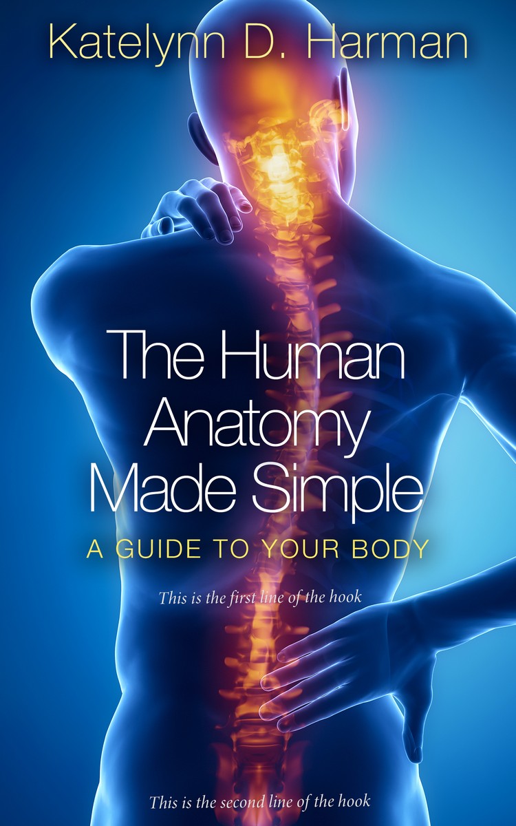 2D view of Chathams Blue #0209 - Premade Health & Mind & Body Book Cover | BookCoverZone