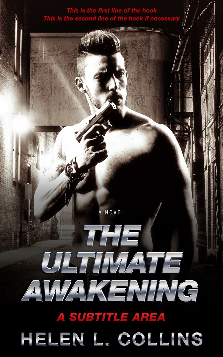 2D view of Silk #330 - Premade Mystery & Thriller & Suspense Book Cover