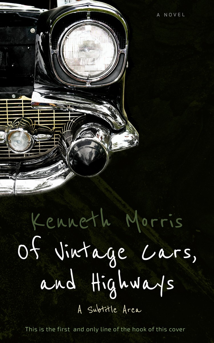 2D view of Premade Historical Book Cover - Marshland