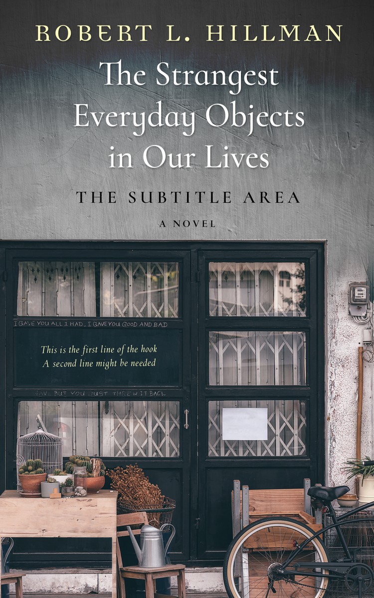 2D view of Cape Cod #0382 - Premade Literary Fiction Book Cover