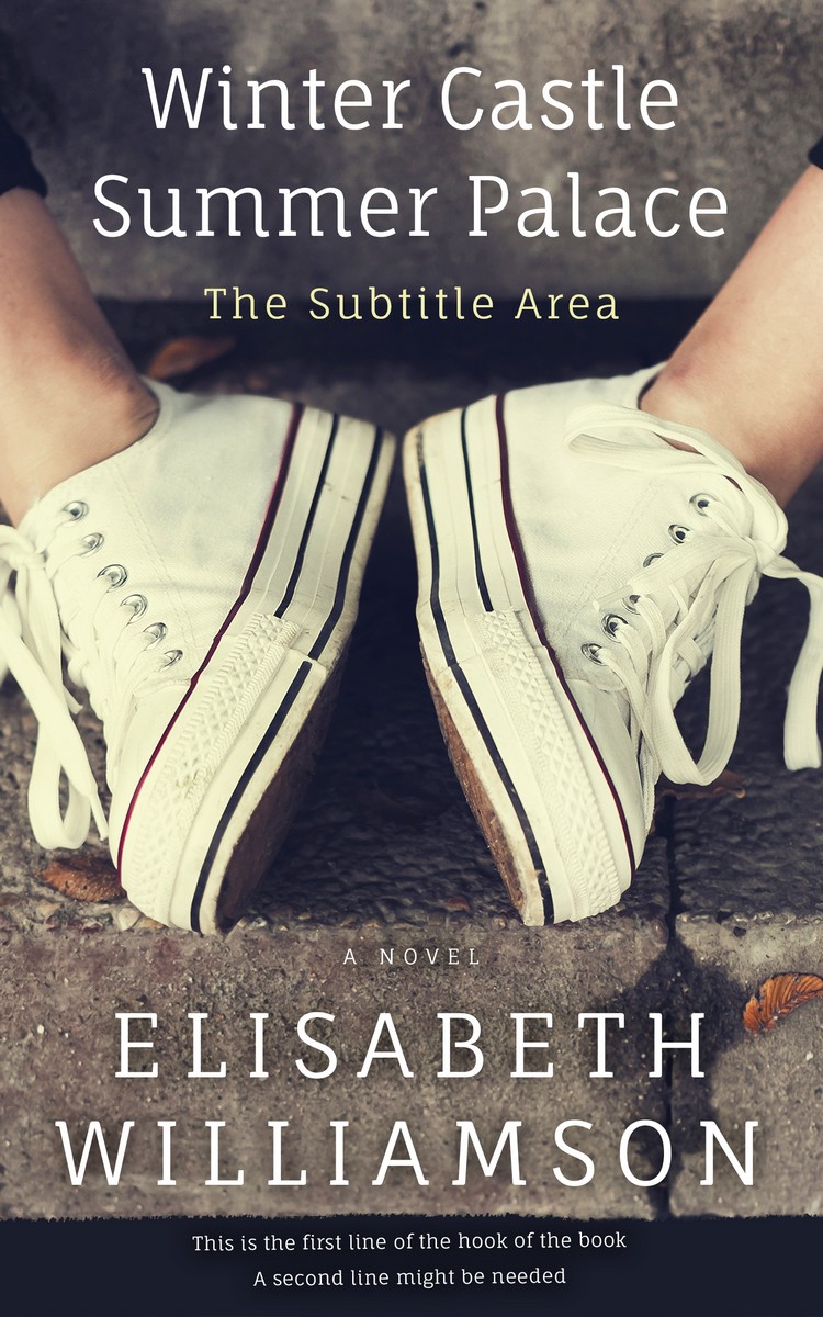 2D view of Gravel #417 - Premade Teen & Young Adult Book Cover