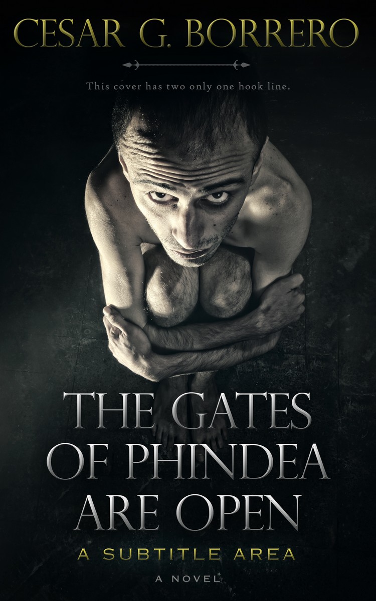 2D view of Woodsmoke #466 - Premade Mystery & Thriller & Suspense Book Cover