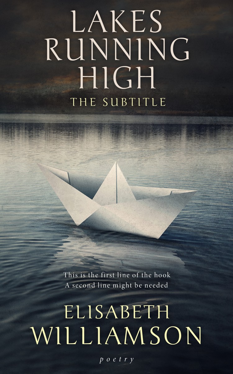 2D view of Premade Poetry Book Cover - Shark