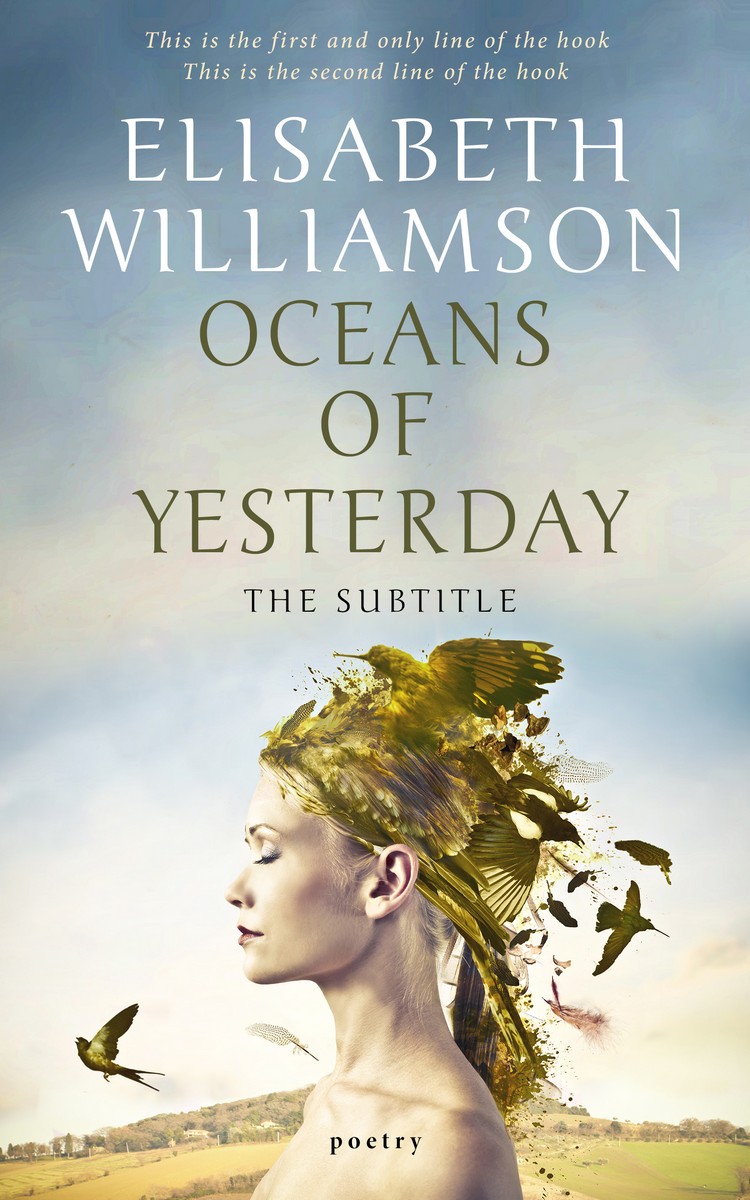 2D view of Celeste #592 - Premade Poetry Book Cover