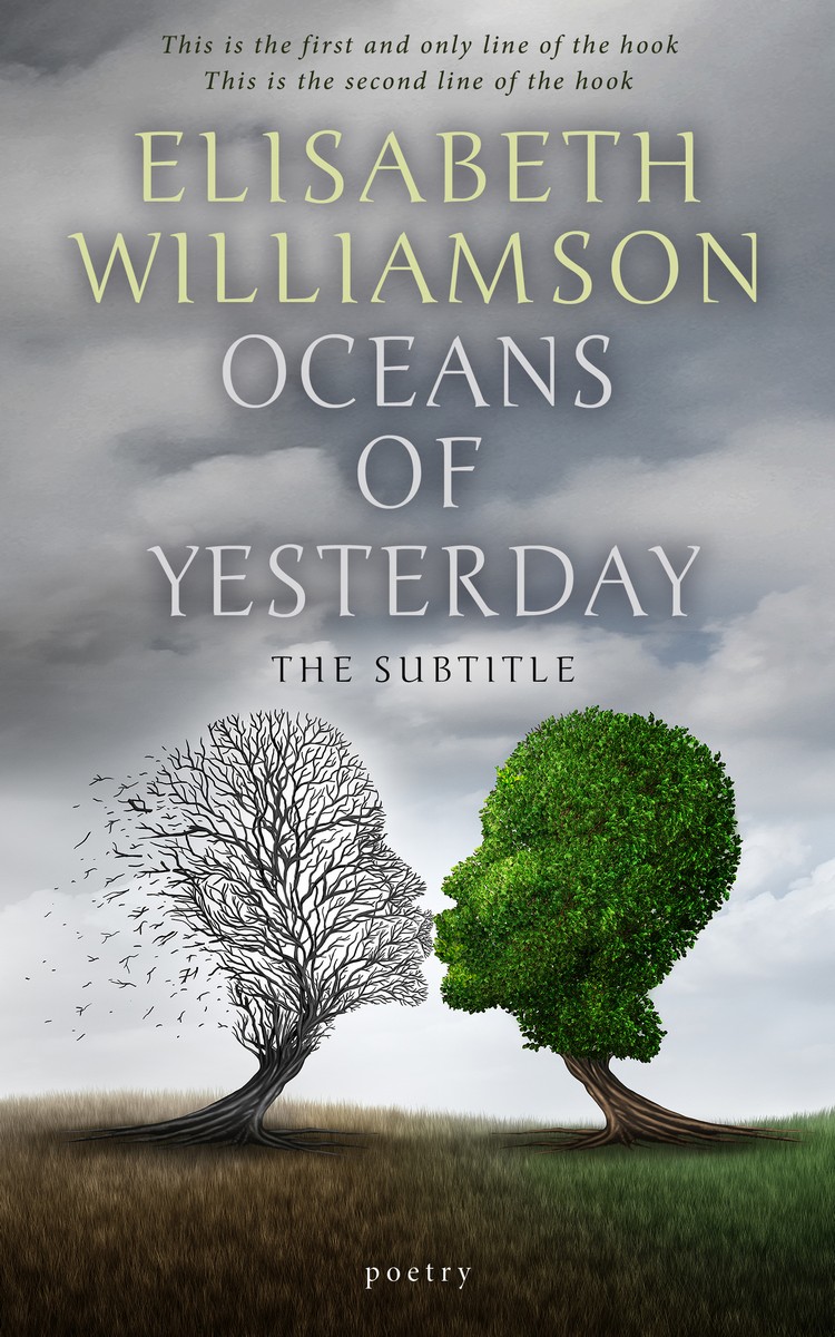 2D view of Premade Fantasy Book Cover - Gray Chateau