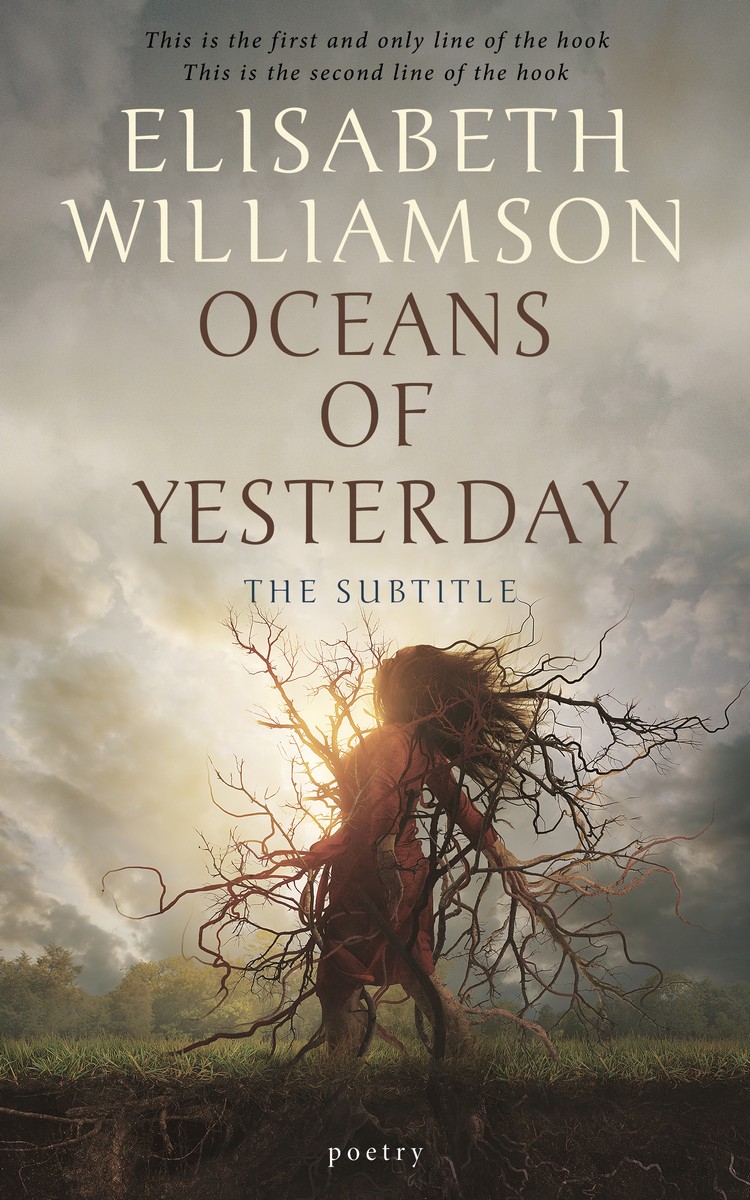 2D view of Napa #0596 - Premade Surreal Book Cover | BookCoverZone