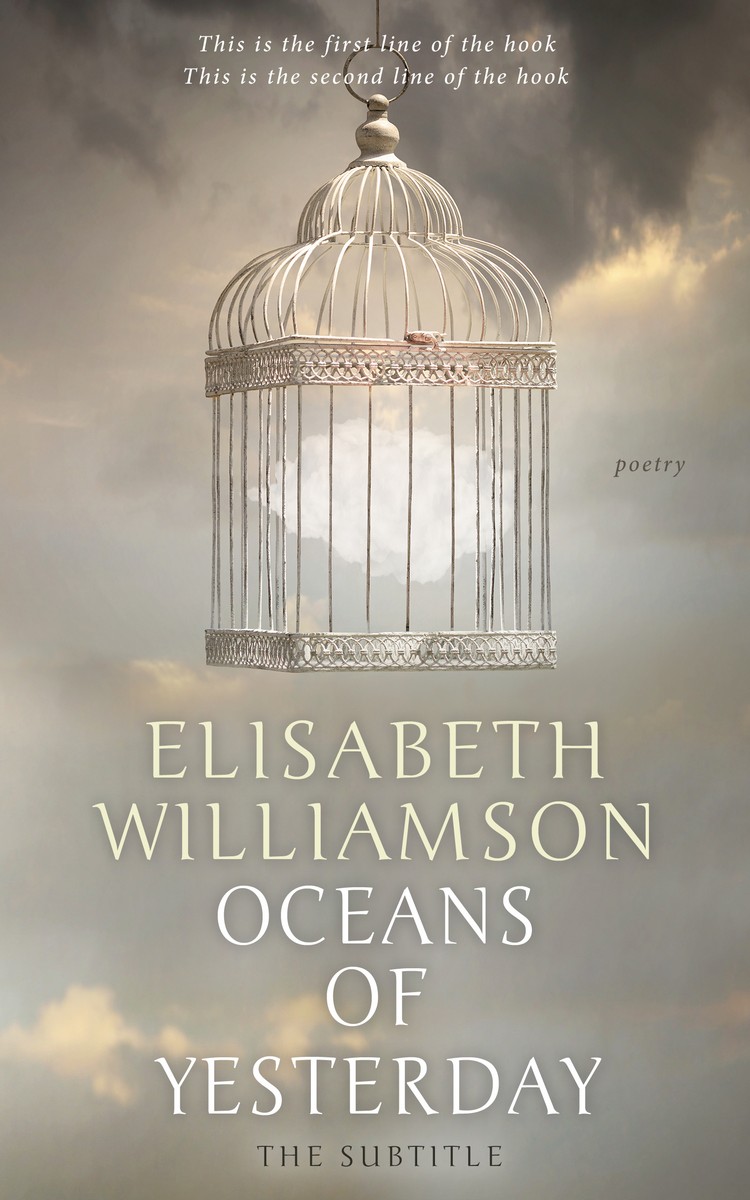 2D view of Zorba #599 - Premade Abstract Book Cover