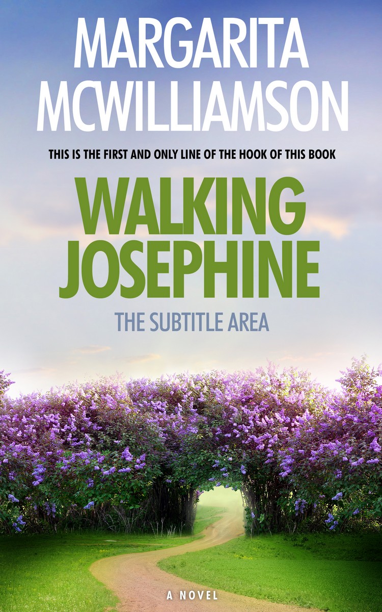 2D view of Gray Suit #714 - Premade Fantasy Book Cover