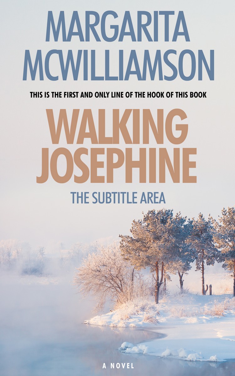 2D view of Swiss Coffee #716 - Premade Nature Book Cover