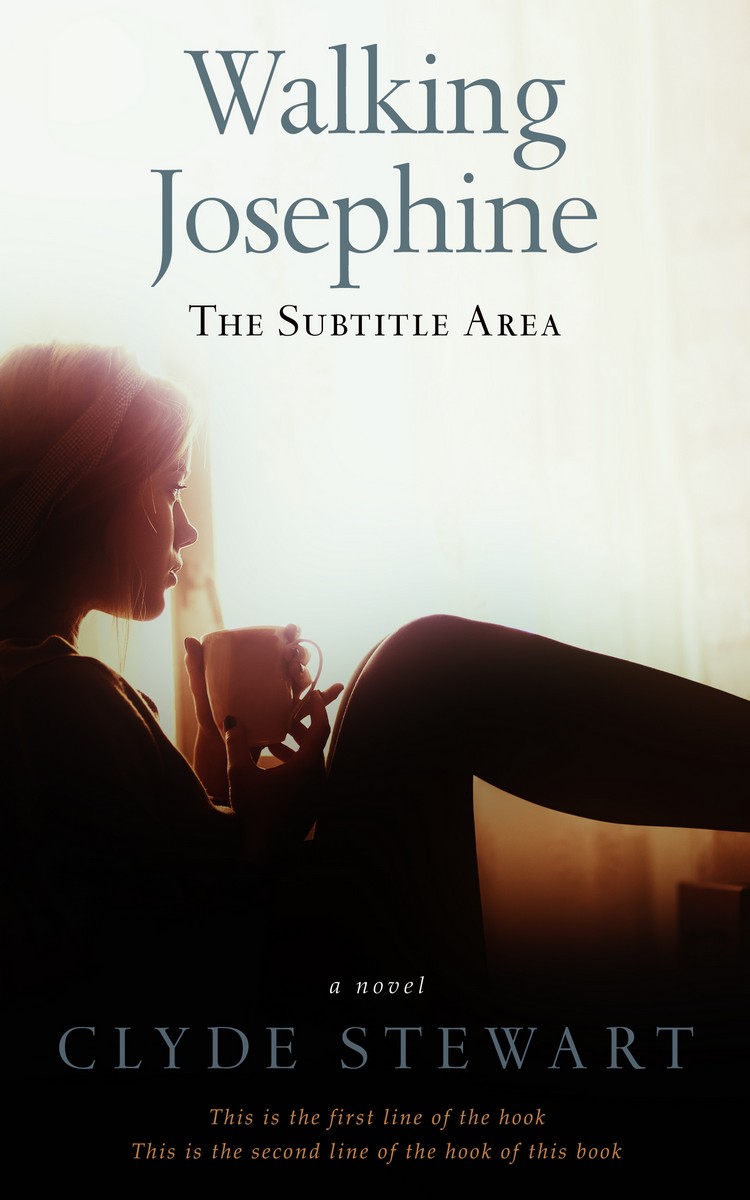 2D view of Night Rider #719 - Premade Teen & Young Adult Book Cover