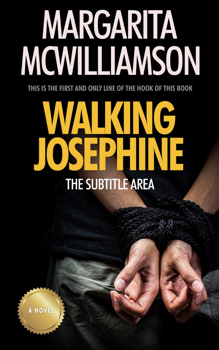 2D view of Cod Gray #722 - Premade Action & Adventure Book Cover