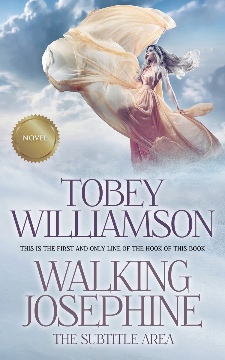 2D view of Iron #734 - Premade Poetry Book Cover