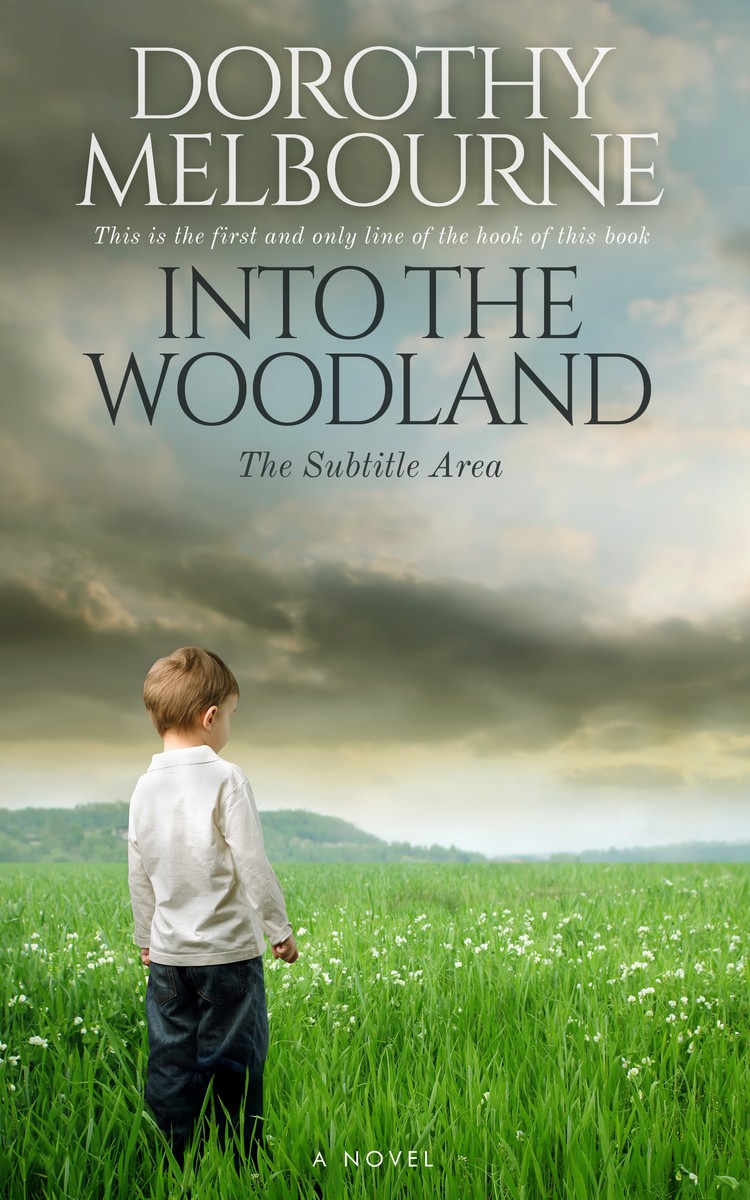 2D view of Battleship Gray #837 - Premade Literary Fiction Book Cover