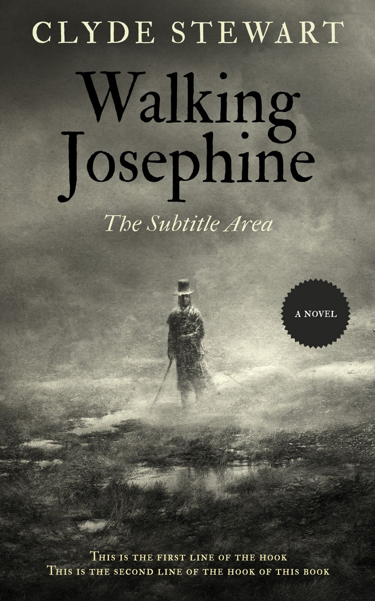 2D view of Premade Fantasy Book Cover - Flint