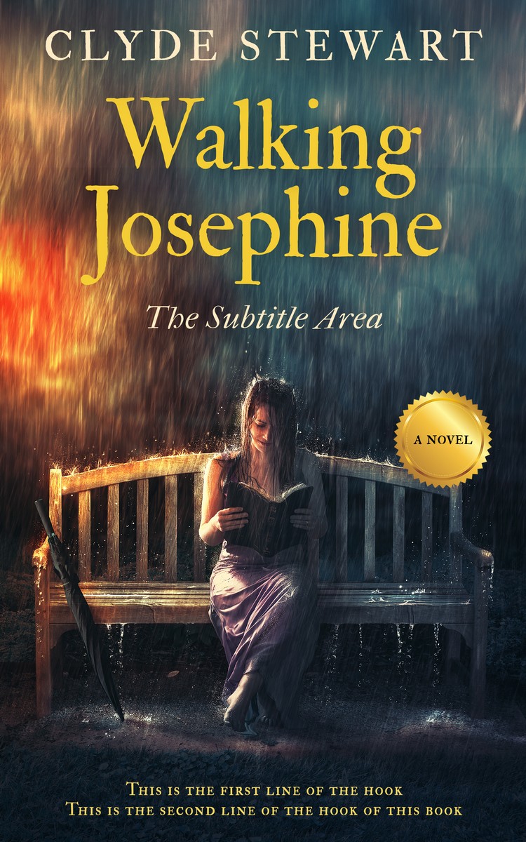 2D view of Outer Space #0890 - Premade Romance Book Cover | BookCoverZone