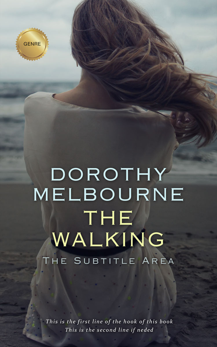 2D view of Ship Gray #964 - Premade Poetry Book Cover