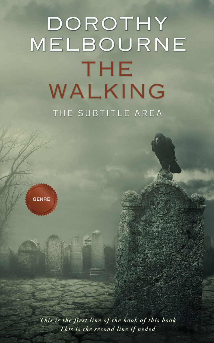 2D view of Battleship Gray #1004 - Premade Mystery & Thriller & Suspense Book Cover