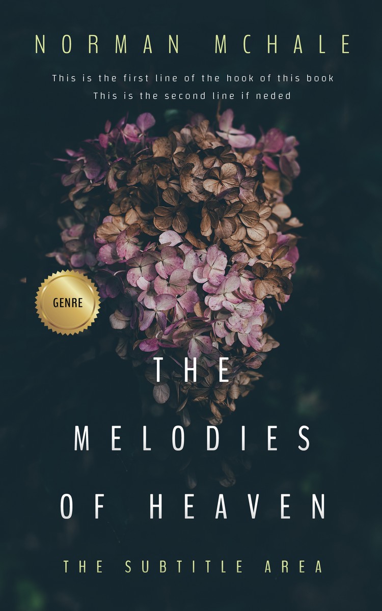 2D view of Ebony Clay #1041 - Premade Poetry Book Cover