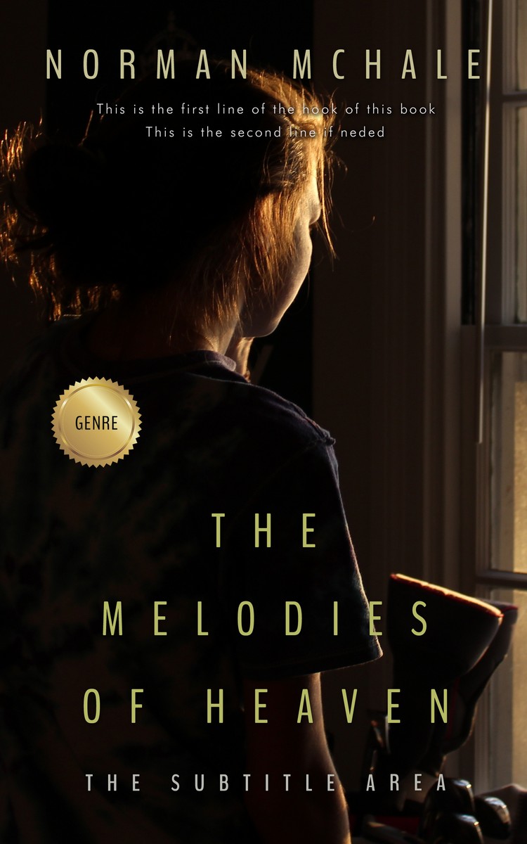 2D view of Premade Romance Book Cover - Night Rider