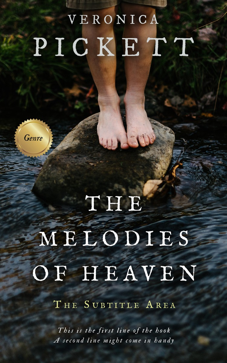 2D view of Premade Teen & Young Adult Book Cover - Heavy Metal