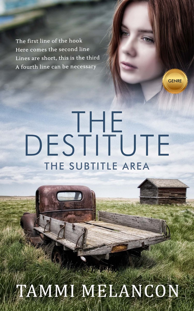 2D view of Premade Literary Fiction Book Cover - Silver Sand