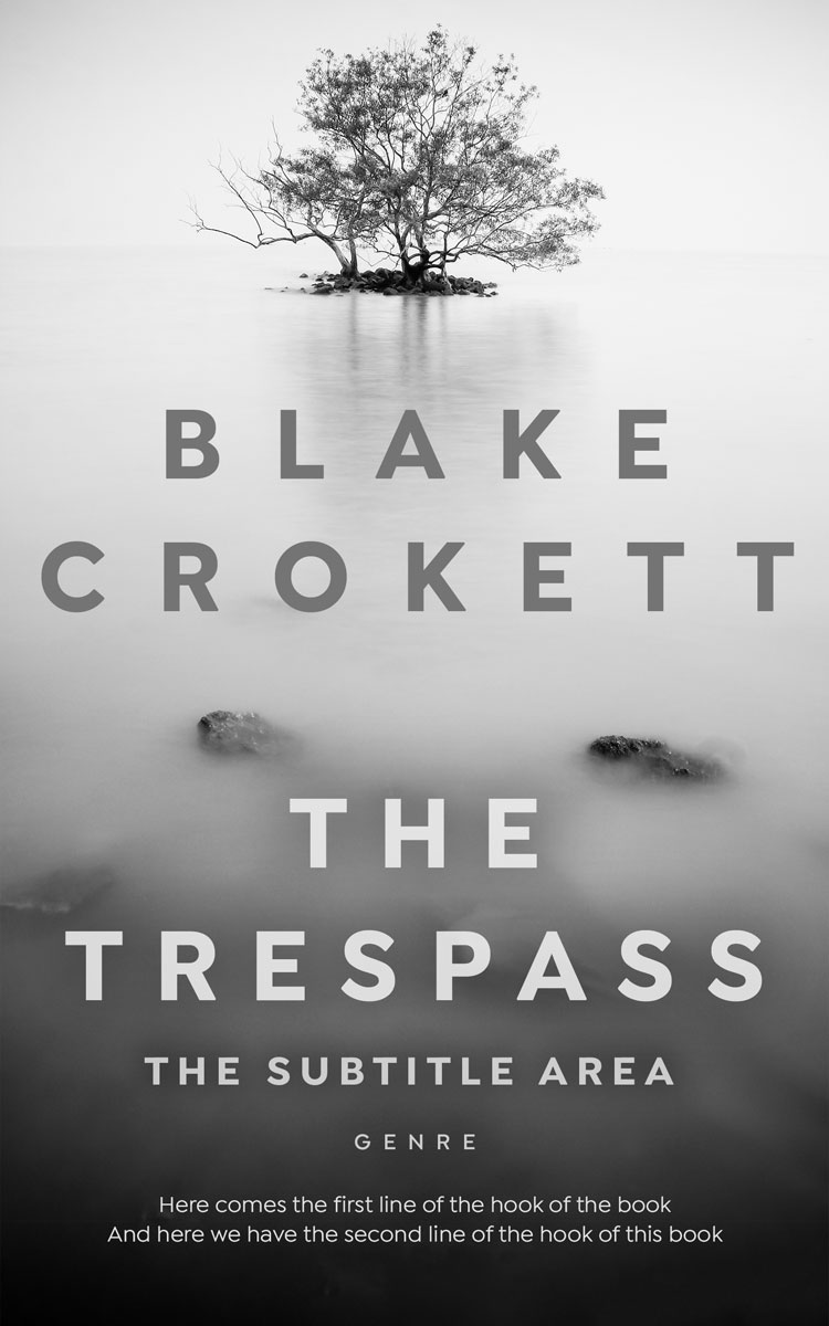 2D view of Premade Mystery & Thriller & Suspense Book Cover - Alto