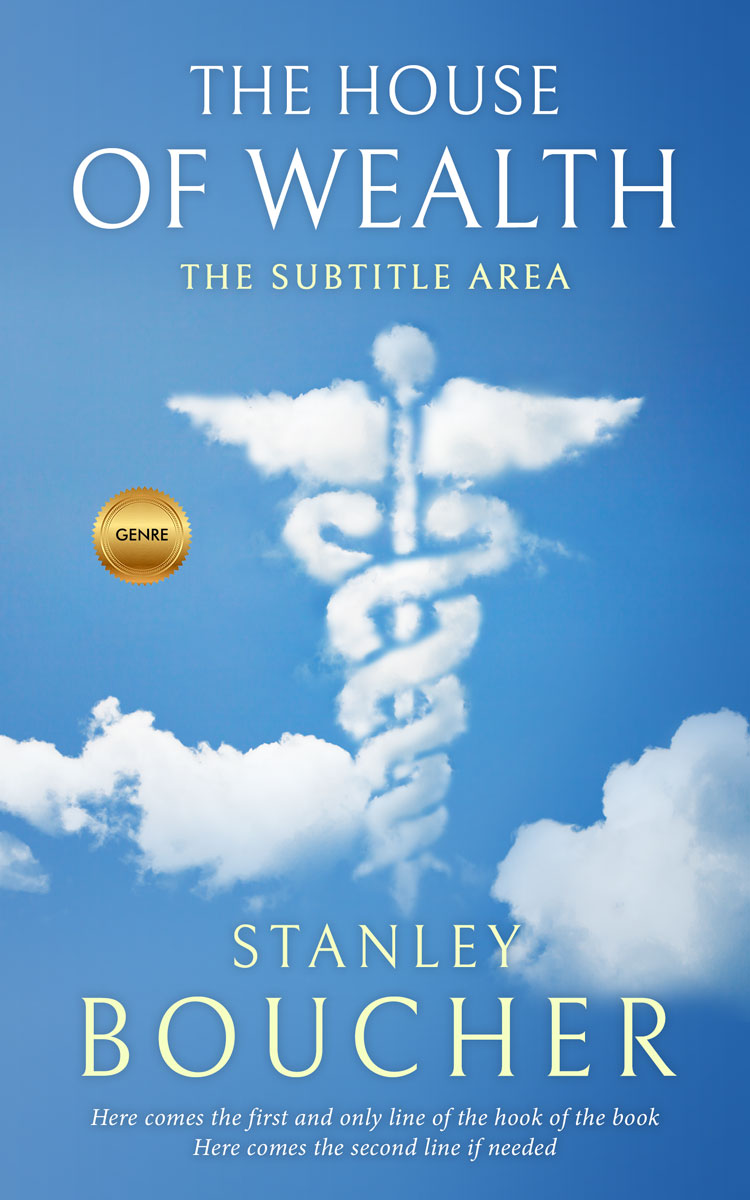 2D view of Danube #1581 - Premade Abstract Book Cover