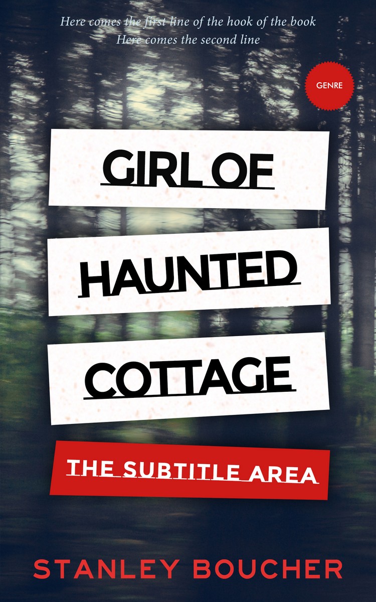 2D view of Premade Mystery & Thriller & Suspense Book Cover - Ebony Clay