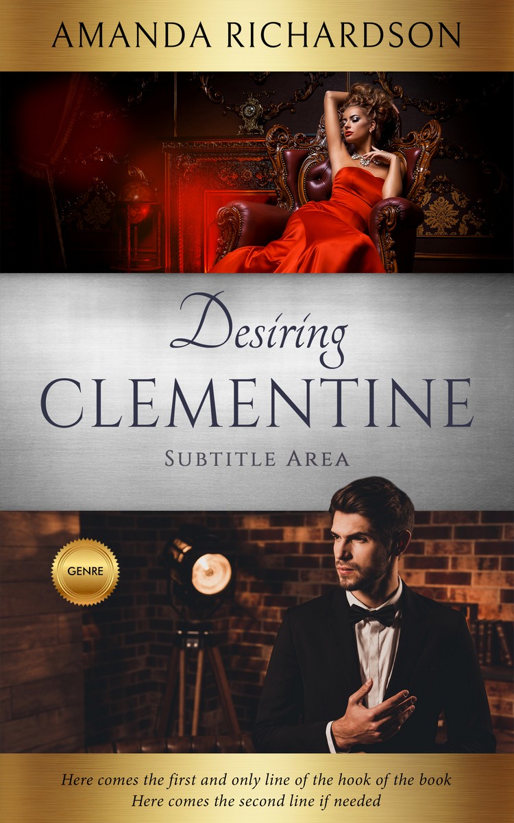 2D view of Premade Business Book Cover - Akaroa