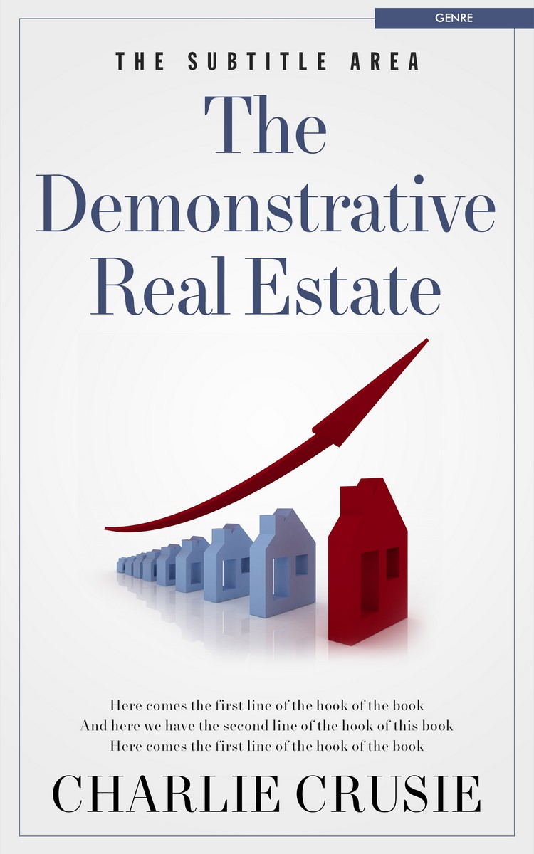 2D view of Premade Business Book Cover - Gallery