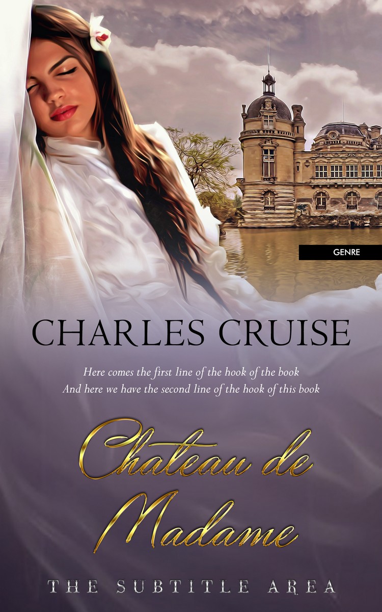 2D view of Spicy Pink #2911 - Premade Historical Book Cover