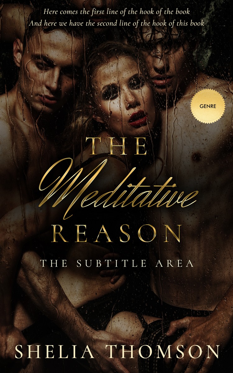 2D view of Night Rider #2935 - Premade Erotica Book Cover