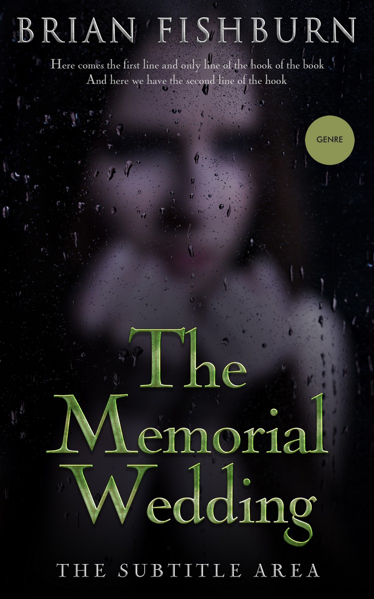 2D view of Premade Romance Book Cover - Woodsmoke